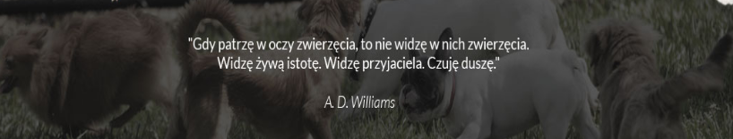 Przychodnia weterynaryjna 