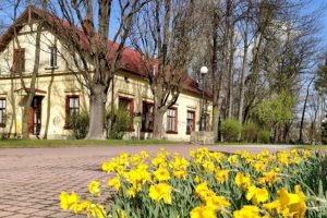 Profesjonalna i empatyczna obsługa w Dziennym Domu Seniora